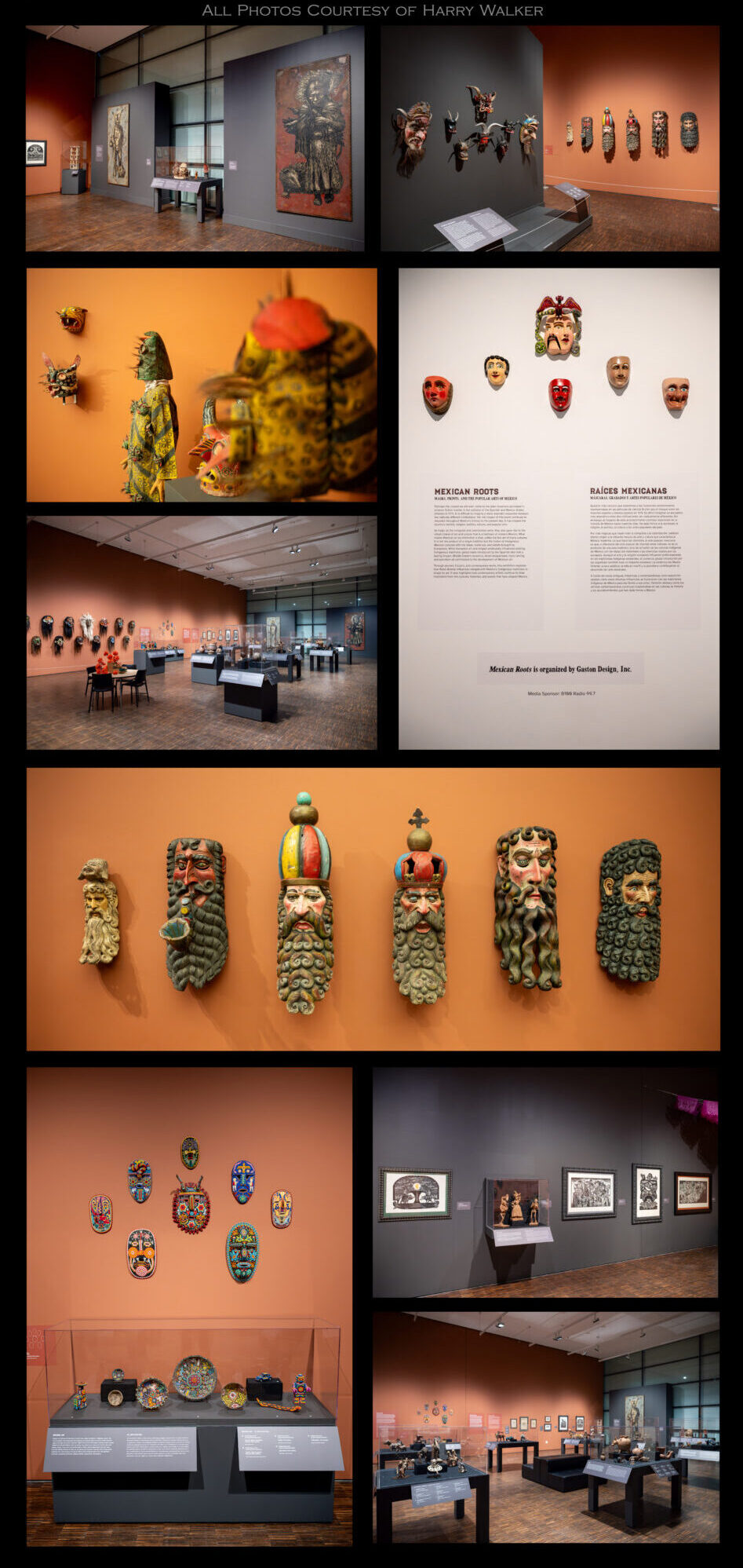Figge Mex Roots promo