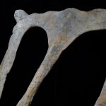 Bravoceratops Skull - Image 2