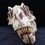 Alioramus Skull (no base) - Image 3