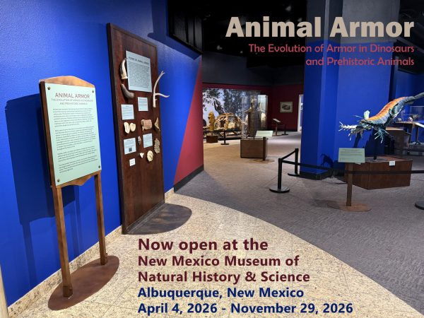 NM Animal Armor header